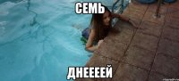 семь днеееей