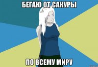 бегаю от сакуры по всему миру