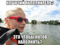 кошачий наполнитель? это чтобы котов наполнять?