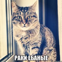  раки ебаные