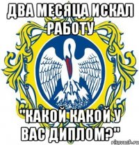 два месяца искал работу "какой какой у вас диплом?"