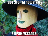 вот это ты пошутил, я прям уссался