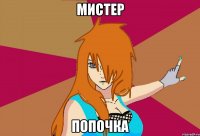 мистер попочка