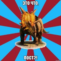 это что, пост?!