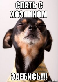 спать с хозяином заебись!!!