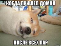 когда пришел домой после всех пар