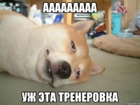 ааааааааа уж эта тренеровка