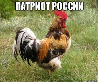 патриот россии 
