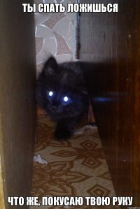 ты спать ложишься что же, покусаю твою руку