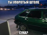 ты упоротый штоле сука?