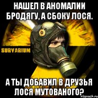 нашел в аномалии бродягу, а сбоку лося. а ты добавил в друзья лося мутованого?