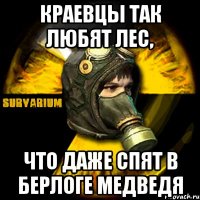 краевцы так любят лес, что даже спят в берлоге медведя