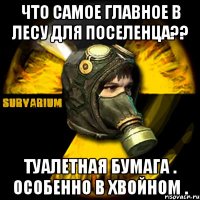 что самое главное в лесу для поселенца?? туалетная бумага . особенно в хвойном .