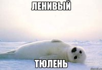 ленивый тюлень