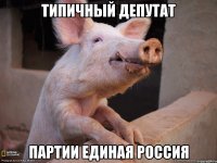 типичный депутат партии единая россия