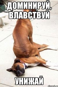 доминируй, влавствуй унижай