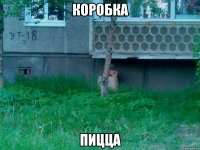 коробка пицца