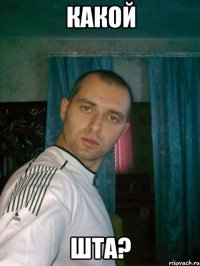 какой шта?