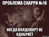 проблема снарри №16 когда волдеморт не одобряет
