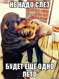 не надо слёз будет ещё одно лето