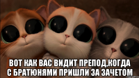  вот как вас видит препод,когда с братюнями пришли за зачетом