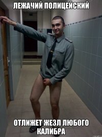 лежачий полицейский отлижет жезл любого калибра
