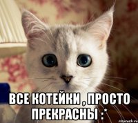  все котейки , просто прекрасны :*