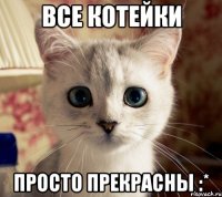 все котейки просто прекрасны :*