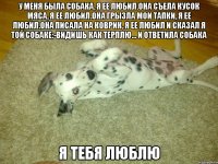у меня была собака, я ее любил.она съела кусок мяса, я ее любил.она грызла мои тапки, я ее любил.она писала на коврик, я ее любил и сказал я той собаке:-видишь как терплю... и ответила собака я тебя люблю