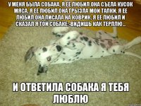у меня была собака, я ее любил.она съела кусок мяса, я ее любил.она грызла мои тапки, я ее любил.она писала на коврик, я ее любил и сказал я той собаке:-видишь как терплю... и ответила собака я тебя люблю
