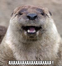  ахахахахахахахахаха !
