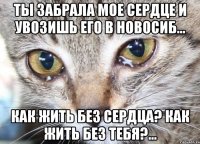 ты забрала мое сердце и увозишь его в новосиб... как жить без сердца? как жить без тебя?...