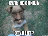 хуль не спишь студент?