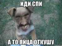 иди спи а то яйца откушу