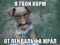 я твой корм от пендальфа жрал
