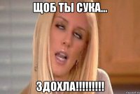 щоб ты сука... здохла!!!