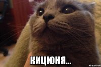  кицюня...