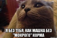  я без тебя, как машка без "мокрого" корма