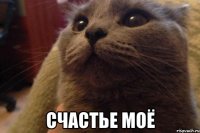  счастье моё