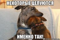 некоторые целуются именно так!