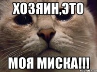 хозяин,это моя миска!!!