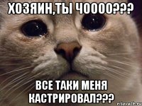 хозяин,ты чоооо??? все таки меня кастрировал???