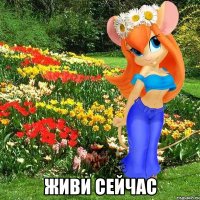  живи сейчас
