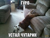 гуро устал чутарик__