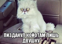 пизданул койотам лишь двушку
