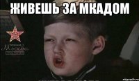 живешь за мкадом 