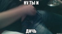 ну ты и дичь