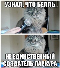 узнал, что белль не единственный создатель паркура