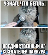 узнал, что белль не единственный из создателей паркура