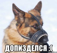  допизделся :(